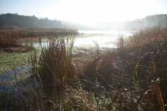 TheSeaSanctuary-11