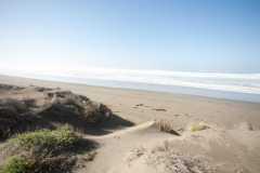 TheSeaSanctuary-12