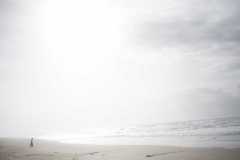 TheSeaSanctuary-25