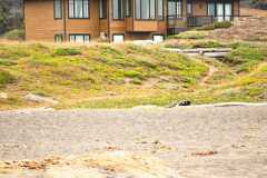 TheSeaSanctuary-3