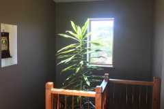 TheSeaSanctuary-36