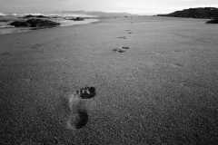 TheSeaSanctuary-4