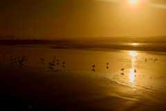 TheSeaSanctuary-45