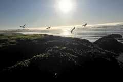 TheSeaSanctuary-47