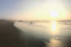 TheSeaSanctuary-48