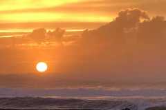 TheSeaSanctuary-50