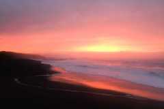 TheSeaSanctuary-51