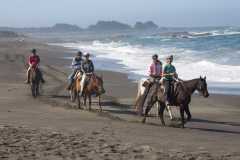 TheSeaSanctuary-9